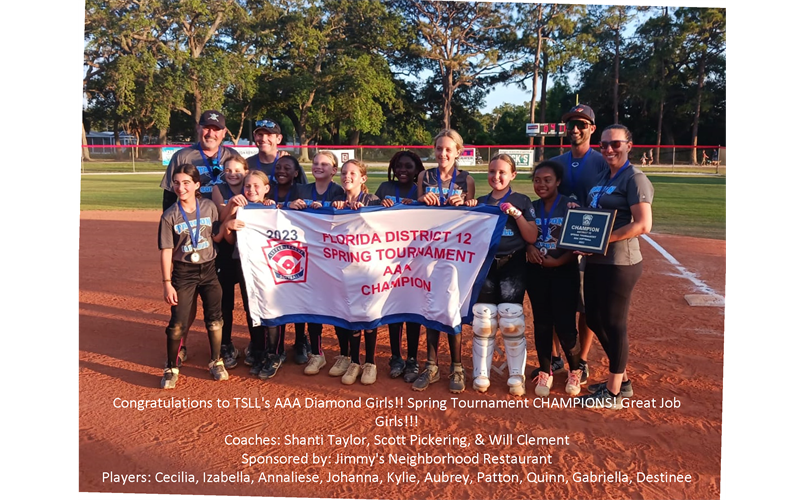 TSLL Softball Champions! 