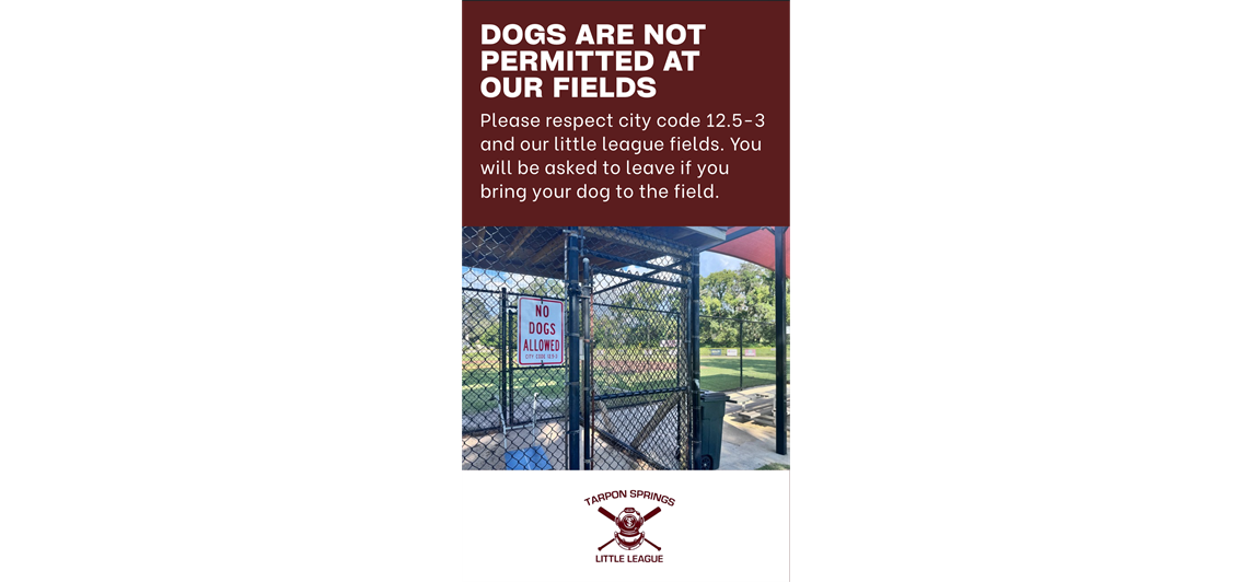No Dogs Allowed
