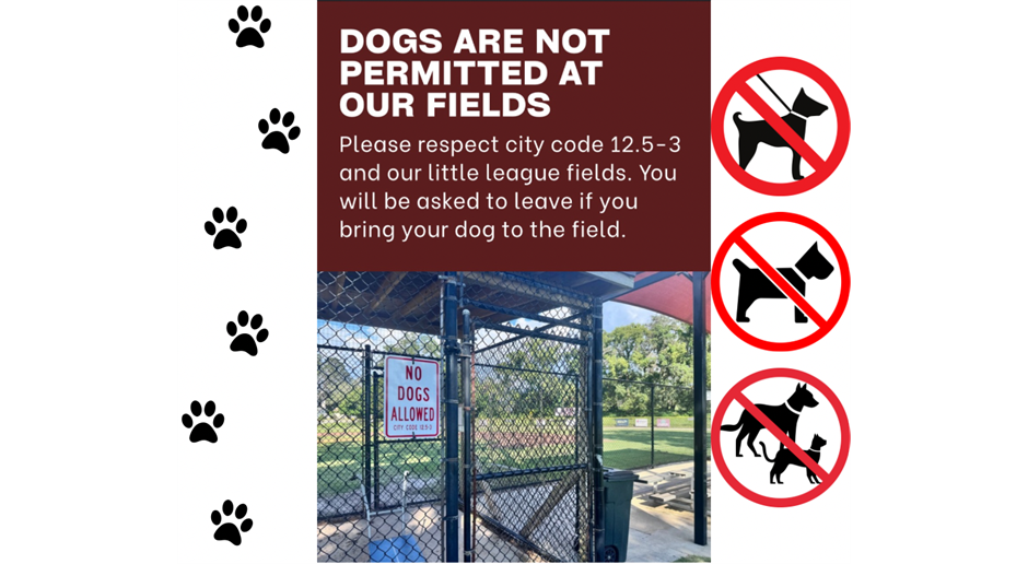 No Dogs Allowed